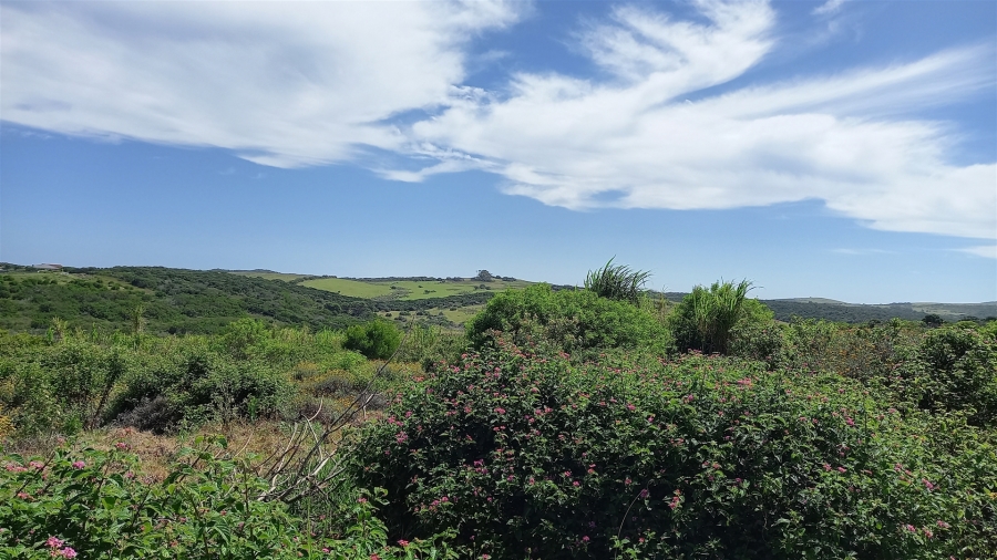 0 Bedroom Property for Sale in Forest Downs Eastern Cape